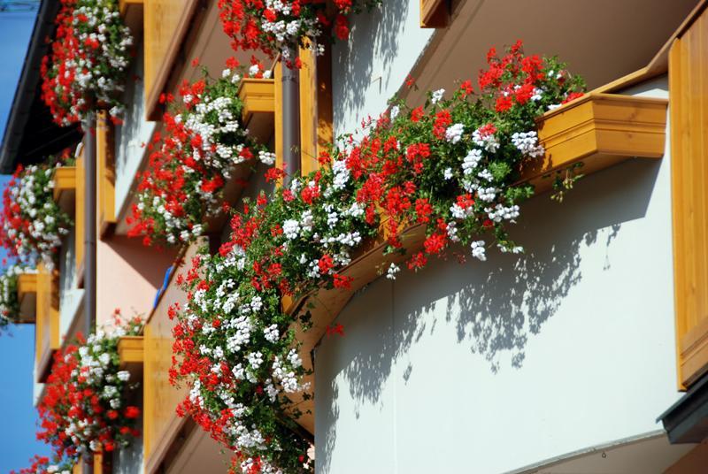 Residence Antares Andalo Exterior foto